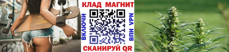 Где купить наркоту Черноголовка ГАШ  Каннабис  MDMA  Меф  Кокаин 