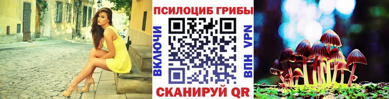 Галлюциногенные грибы MAGIC MUSHROOMS  мега ТОР  Черноголовка  где купить наркотик 